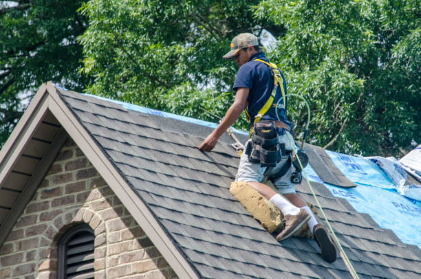Best Roof Repair Services  in Montgomery, GA